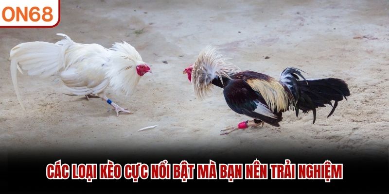 Các loại kèo cực nổi bật mà bạn nên trải nghiệm