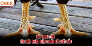 Vảy Khai Tiền