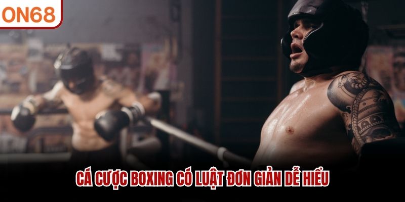 Cá cược boxing có luật đơn giản dễ hiểu