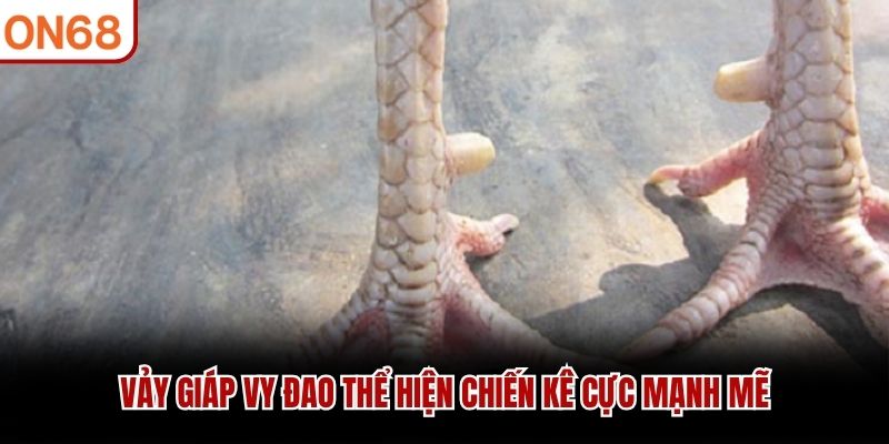 Vảy gi&aacute;p vy đao thể hiện chiến k&ecirc; cực mạnh mẽ