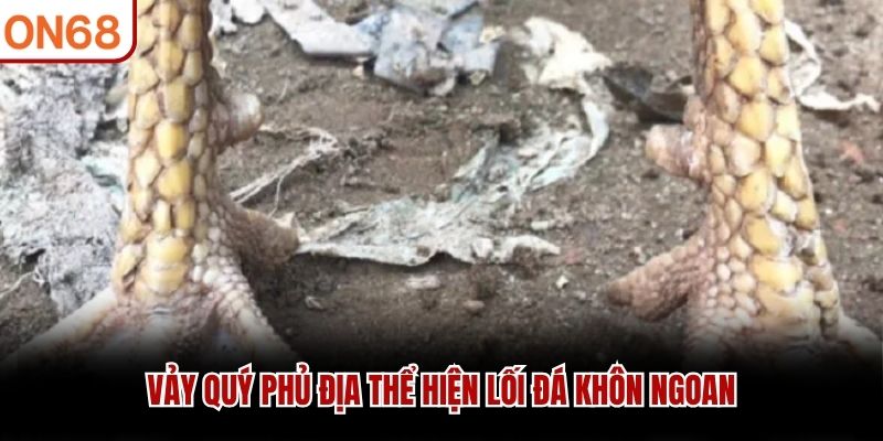 Vảy qu&yacute; phủ địa thể hiện lối đ&aacute; kh&ocirc;n ngoan
